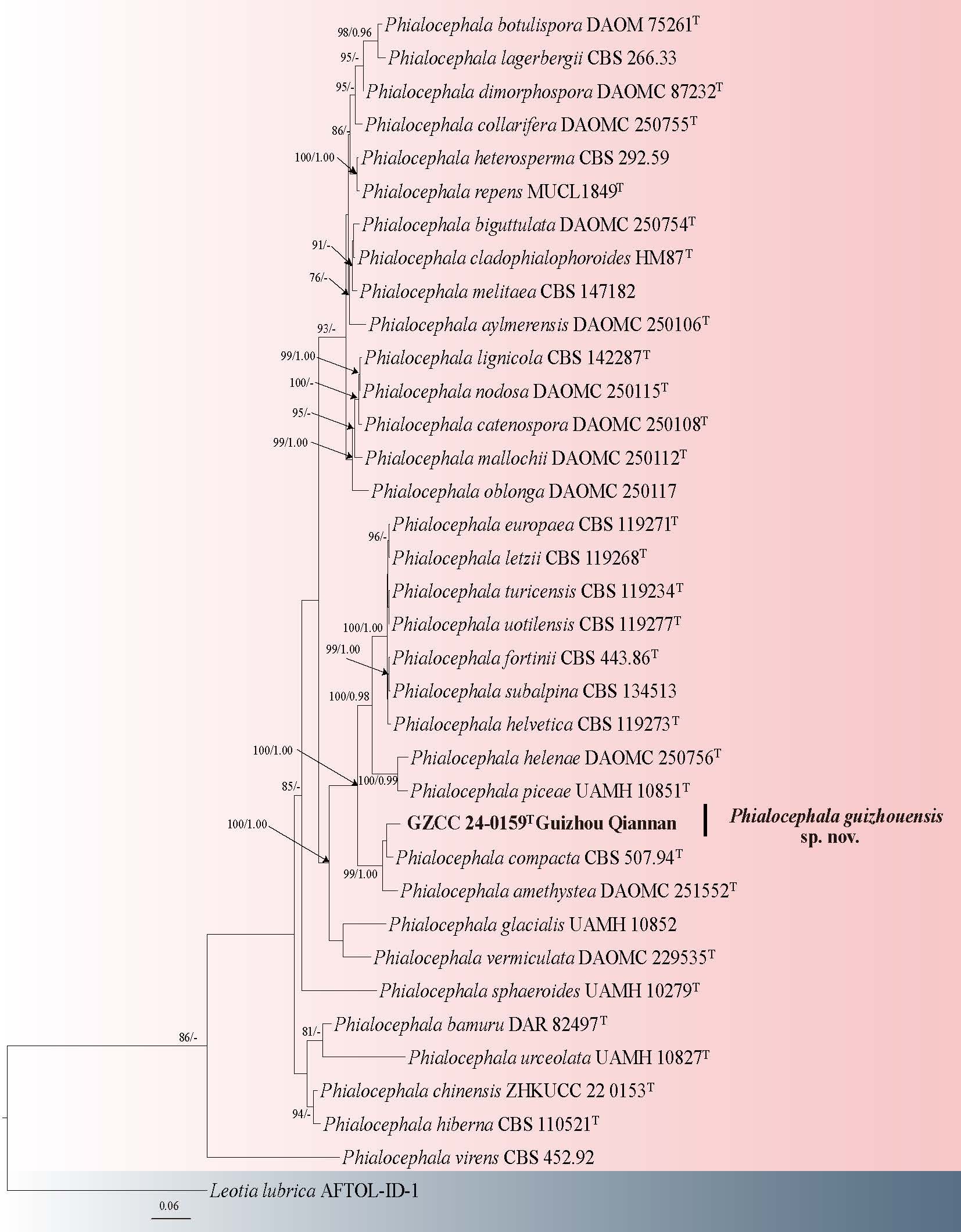 Figure 26